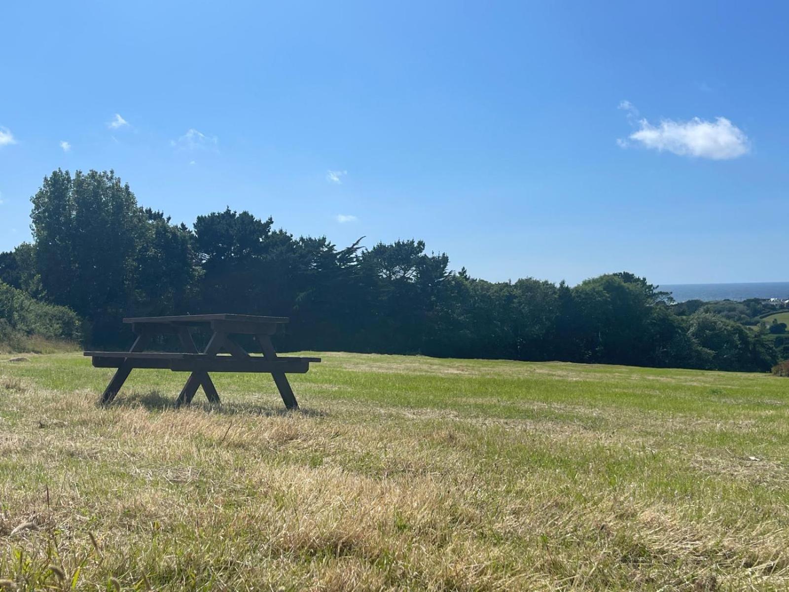 Lovely 3 Bedroom Holiday Cottage Nr Bude Eksteriør billede